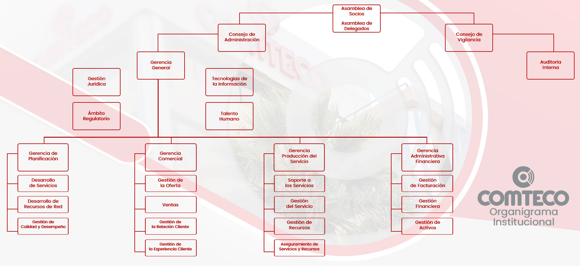 Organigrama Institucional